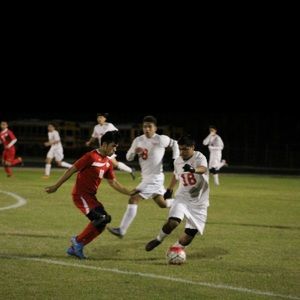 Meet your Posher, Roman